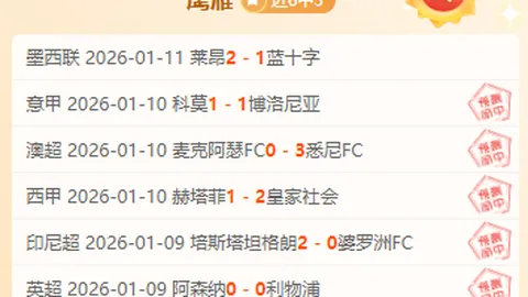 欧洲杯阵容中大连外援落选，错失第二阶段比赛机会